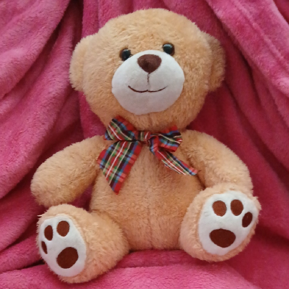 NWOT Charming Plush Teddy Bear with Plaid Bow